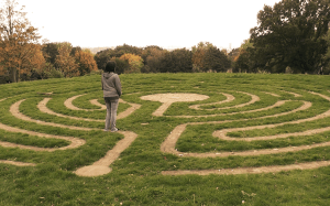 "The the maze totally symbolises everything about this film, about us and what it is we want to say!”