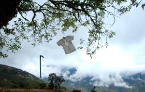 12299486_10156288236685287_2002026562_o-2